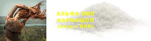 дурь Богданович