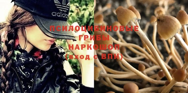 мдма Богородск