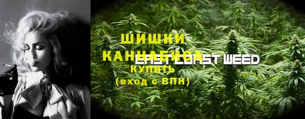 первитин Богородицк