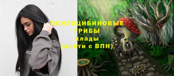 дурь Богданович