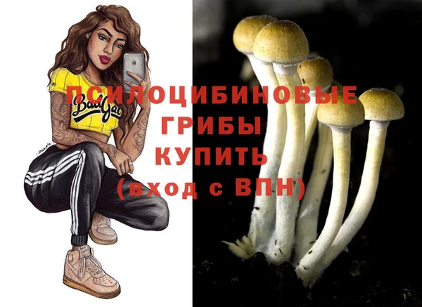 дурь Богданович