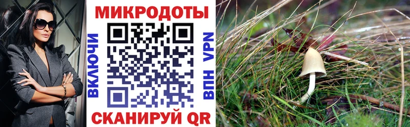 Галлюциногенные грибы мицелий  как найти   Волжский 